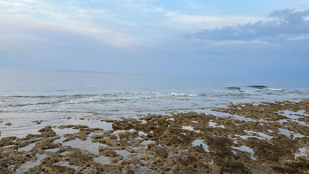 Satrazamköy-9